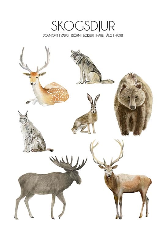 Skogsdjur poster