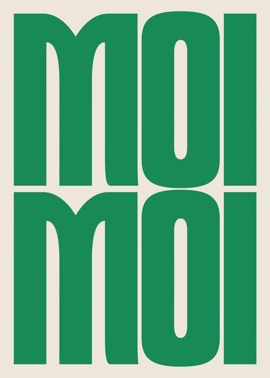 Moi Moi Poster #9