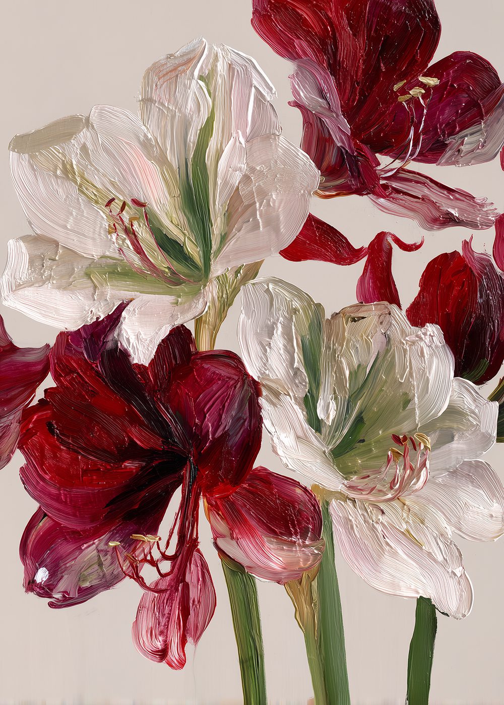Red White Amaryllis julposter