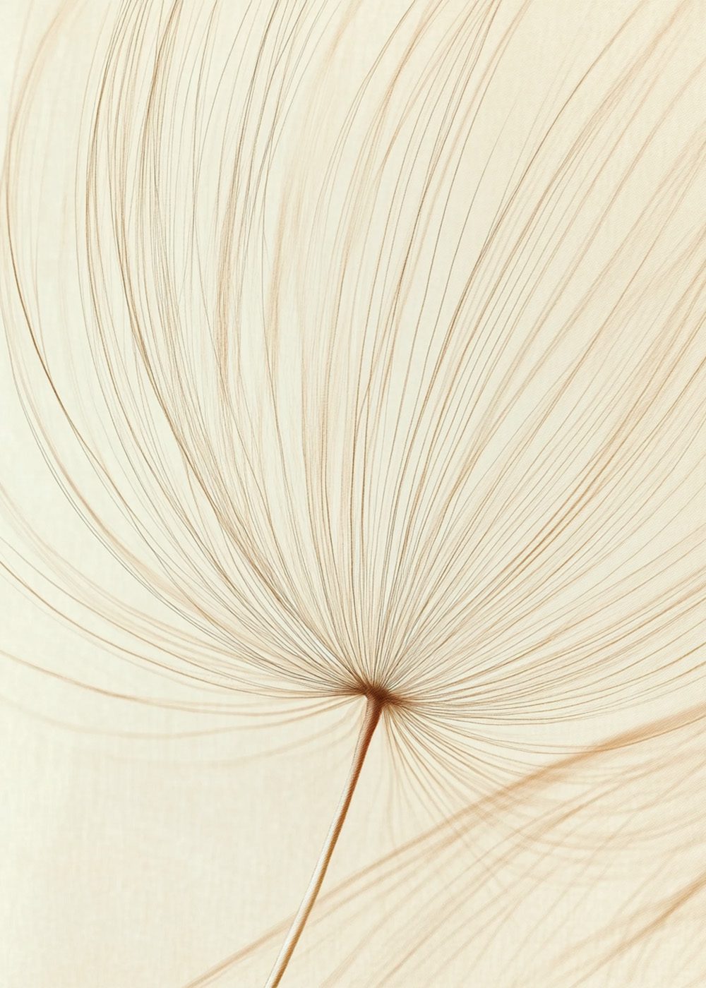 Mjuka Linjer Abstrakta Linjer Poster