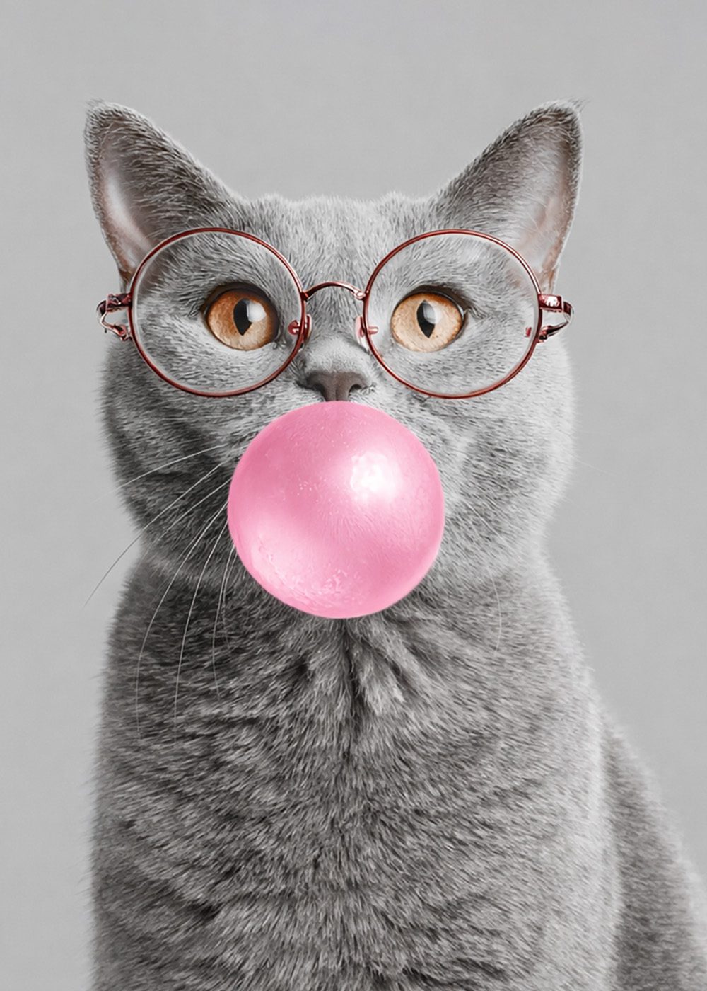 Bubblegum Cat Pop Art Kattposter Kattfotografi