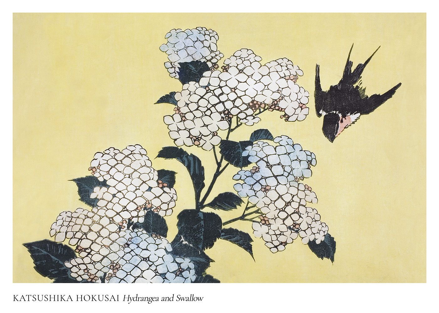 Hydrangea and Swallow Hokusai Poster
