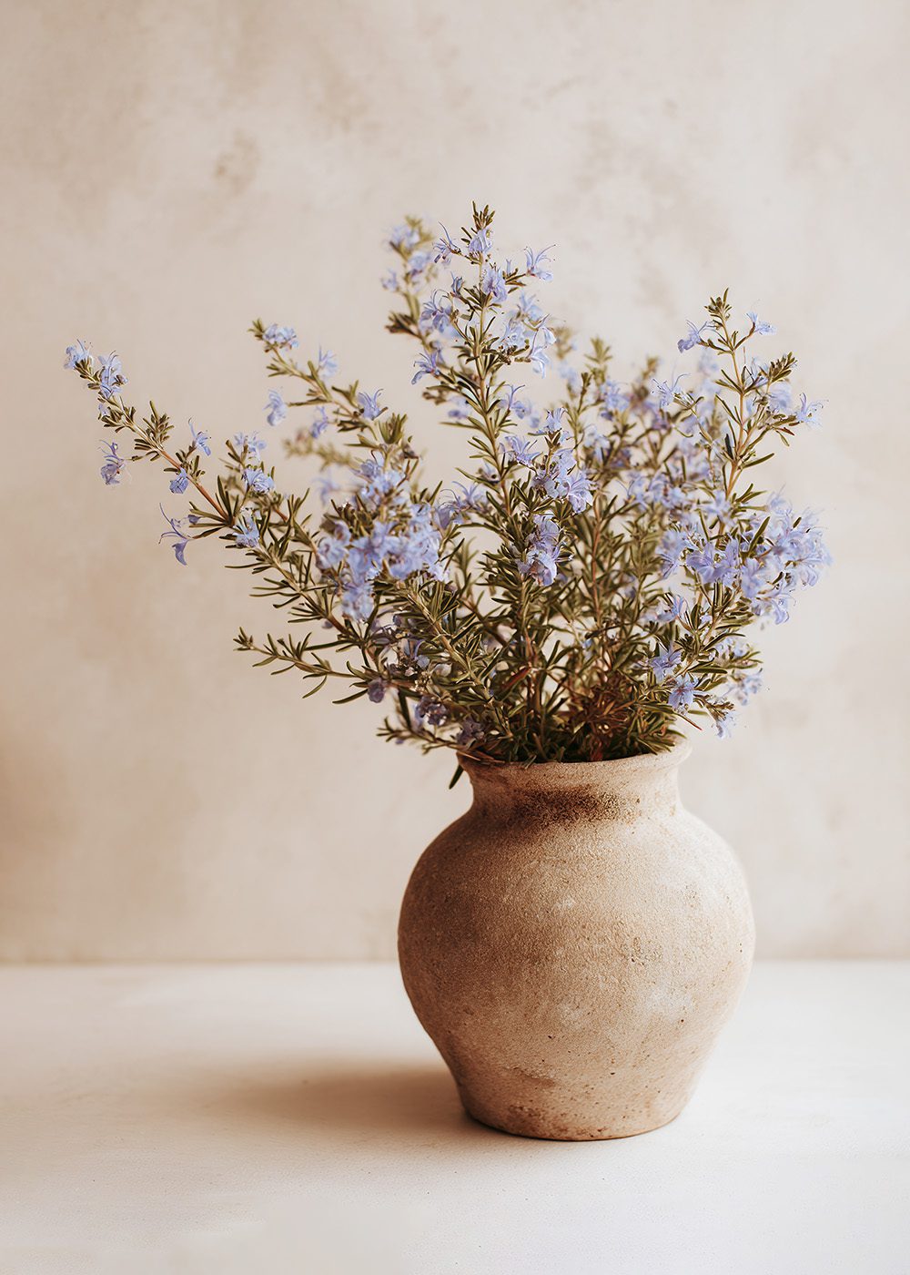 Rosmarinblommor i rustik keramikvas, perfekt för vårposters och botaniska posters.