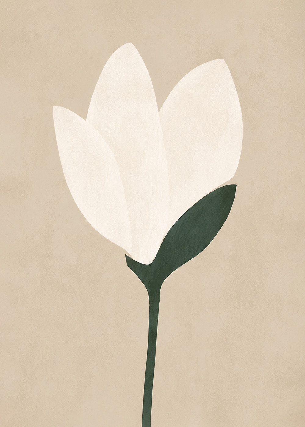 Minimalistisk Magnolia Poster med vit blomma på beige bakgrund, perfekt för sommar- och vårdekor, botanisk och modern stil.
